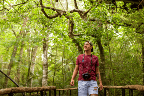 شلالات إجواسو الجانب البرازيلي، وحديقة الطيور وجولة بطائرة هليكوبترمن فوز دو إيغواسو