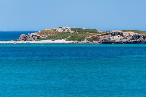 Perth: Shoalwater Islands Snorkel, Wildlife & Seafood Cruise