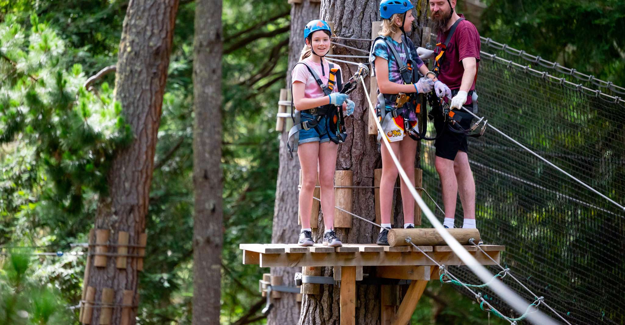 Dwellingup, Tree Ropes Course - Housity