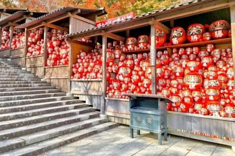 Da Osaka/Kyoto : Escursione privata a Osaka con servizio di prelievo e rientroTutto l'anno