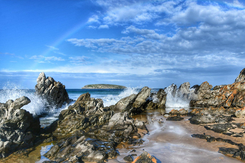 Excursão ao Porto de Victor e à Península Fleurieu