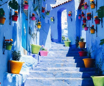 From Tangier: Chefchaouen Guided Full-Day Trip