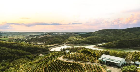 Durres/Tirana unique wine tour experience of Albanian Winery