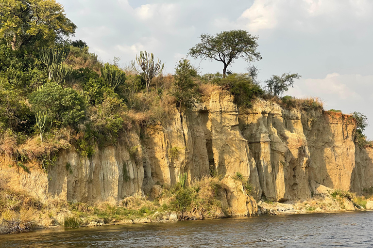 2 jours de safari dans le parc national des chutes Murchison, faune et flore d&#039;Ouganda