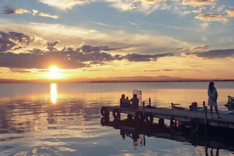 Discover the Devesa and the Albufera: Guided tour