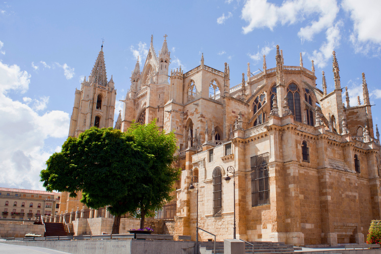 León: Private Guided Tour with Your Mobile Phone León: The Codex Calixtinus and San Isidoro with Physical Kit and Live Guide
