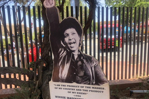 Johannesburg: Tour di Soweto, Museo dell&#039;Apartheid e Cradle