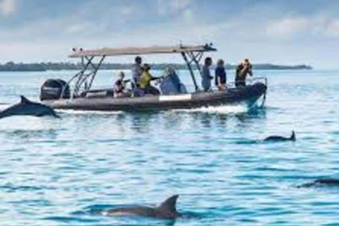 Zanzibar: delfini a Mnemba, acquario delle tartarughe e crociera al tramontoNessun trasferimento: tour con tutti i biglietti d'ingresso inclusi