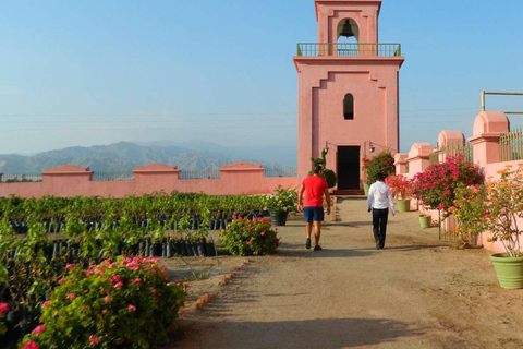 Ica: Pisco and Wine Tasting Tour