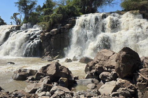 3-Day Awash National Park Safari with Lodge