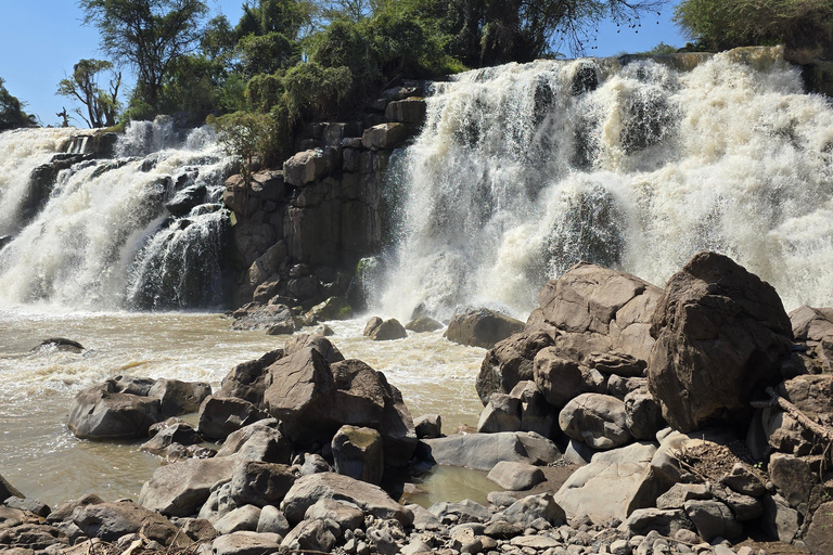 3-Day Awash National Park Safari with Lodge