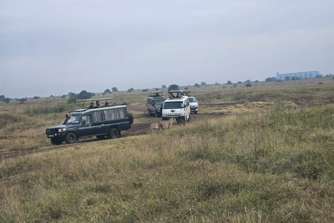 Parc national de Nairobi : promenade nocturne avec prise en charge gratuite