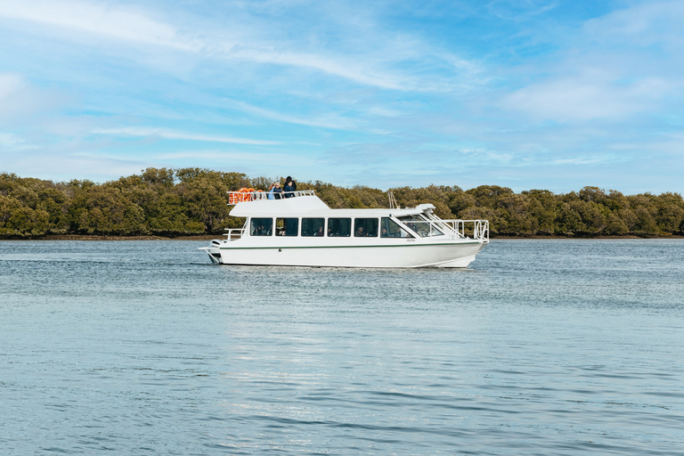 Adelaide: Port River Dolphin en Ships Graveyard Cruise