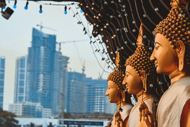 Explore Negombo and Colombo Day Tour