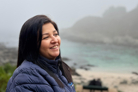 From Santiago: Papudo Horseback Ride & Penguin Watching