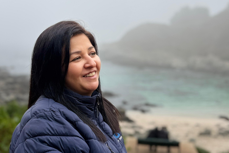 From Santiago: Papudo Horseback Ride & Penguin Watching