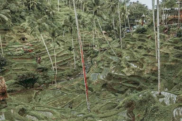 Ubud 3 Hidden Waterfalls & Tegalalang Rice Terrace Tour