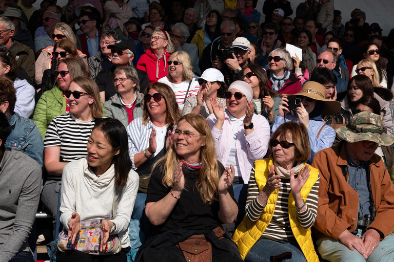 Amsterdam: Flower Parade Grandstand Seat and Keukenhof Tour Amsterdam: Flower Parade Grandstand + Keukenhof Gardens Tour