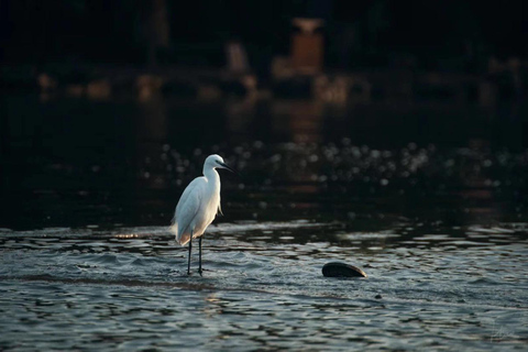 Experimente el antiguo lago del Oeste en Hangzhou