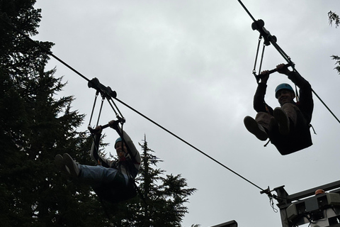 Vancouver: Grouse Mountain & Stanley Park Signature Tour