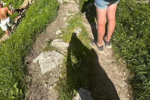 Luzern: Onvergetelijke Zwitserse Alpen Wandeling+ZwemmenGezamenlijke groepswandeling