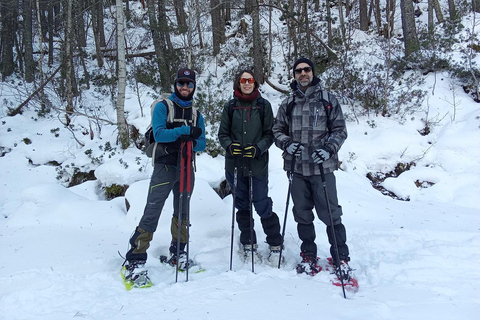 Cerdanya: Snowshoe tour through the forests and lakes of the Pyrenees