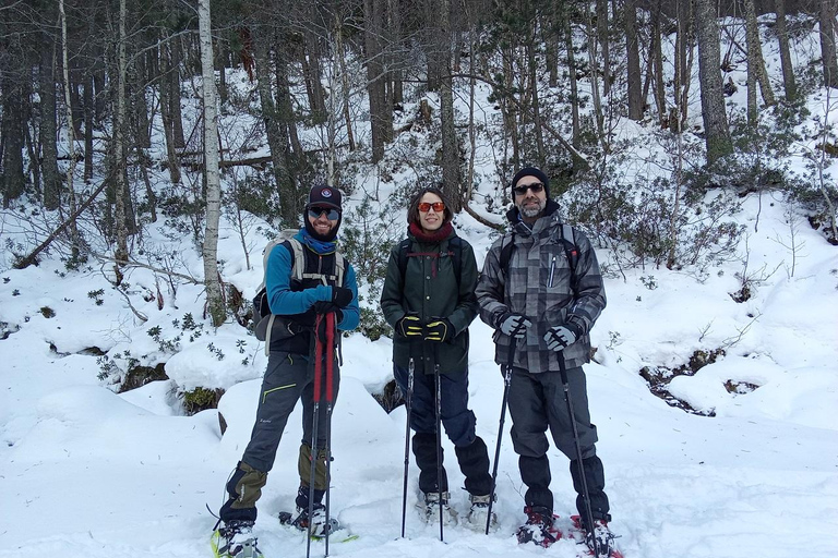 Cerdanya: Snowshoe tour through the forests and lakes of the Pyrenees