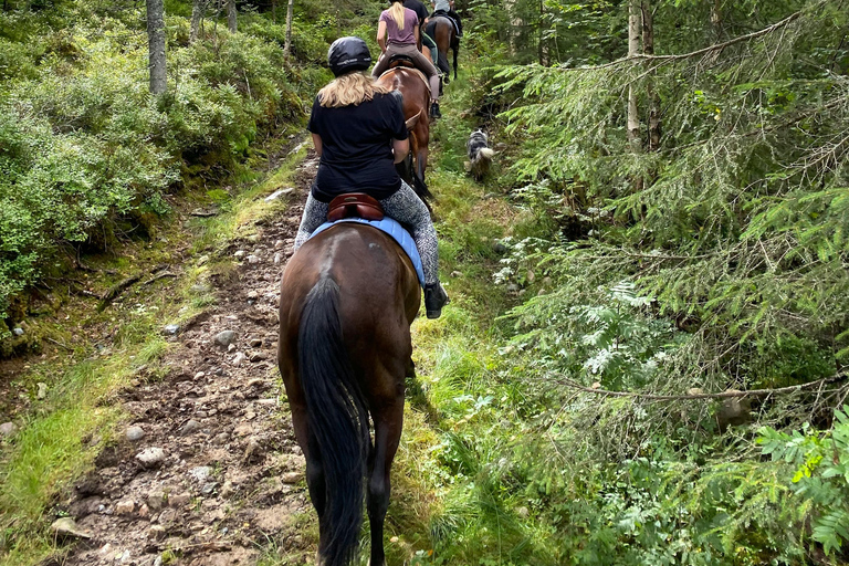 Dragør: Kongelundsskoven Forest Horseback Riding Tour