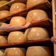 Foodtour mit Verkostungen und Sightseeing in Parma
