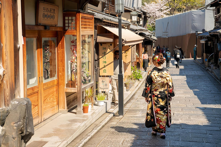 Osaka: Kiyomizu, Fushimi Inari, Nara & Gion Private Sightseeing Tours