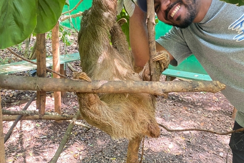 Mangrove Tour + Sloths