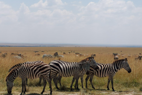 Nairobi: 3-Day Amboseli and Tsavo East Safari with Meals