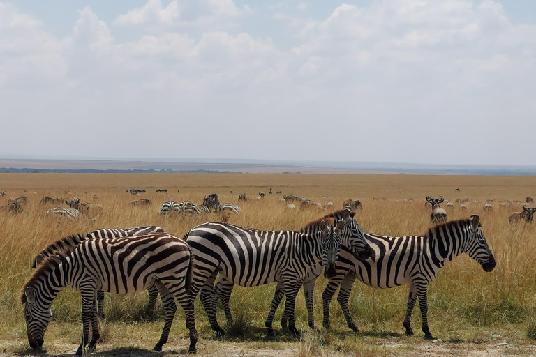 Nairobi: 3-Day Amboseli and Tsavo East Safari with Meals