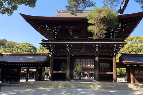 Tokyo : Visite guidée de la ville ancienne et de la ville moderneTokyo : visite guidée d'une demi-journée de la ville