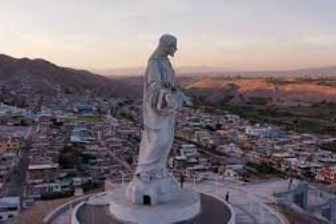 Tour Arequipa with the world of Alpacas