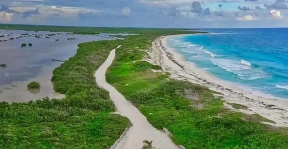 Cozumel: Jeep Tour with Snorkeling & Tequila Tasting