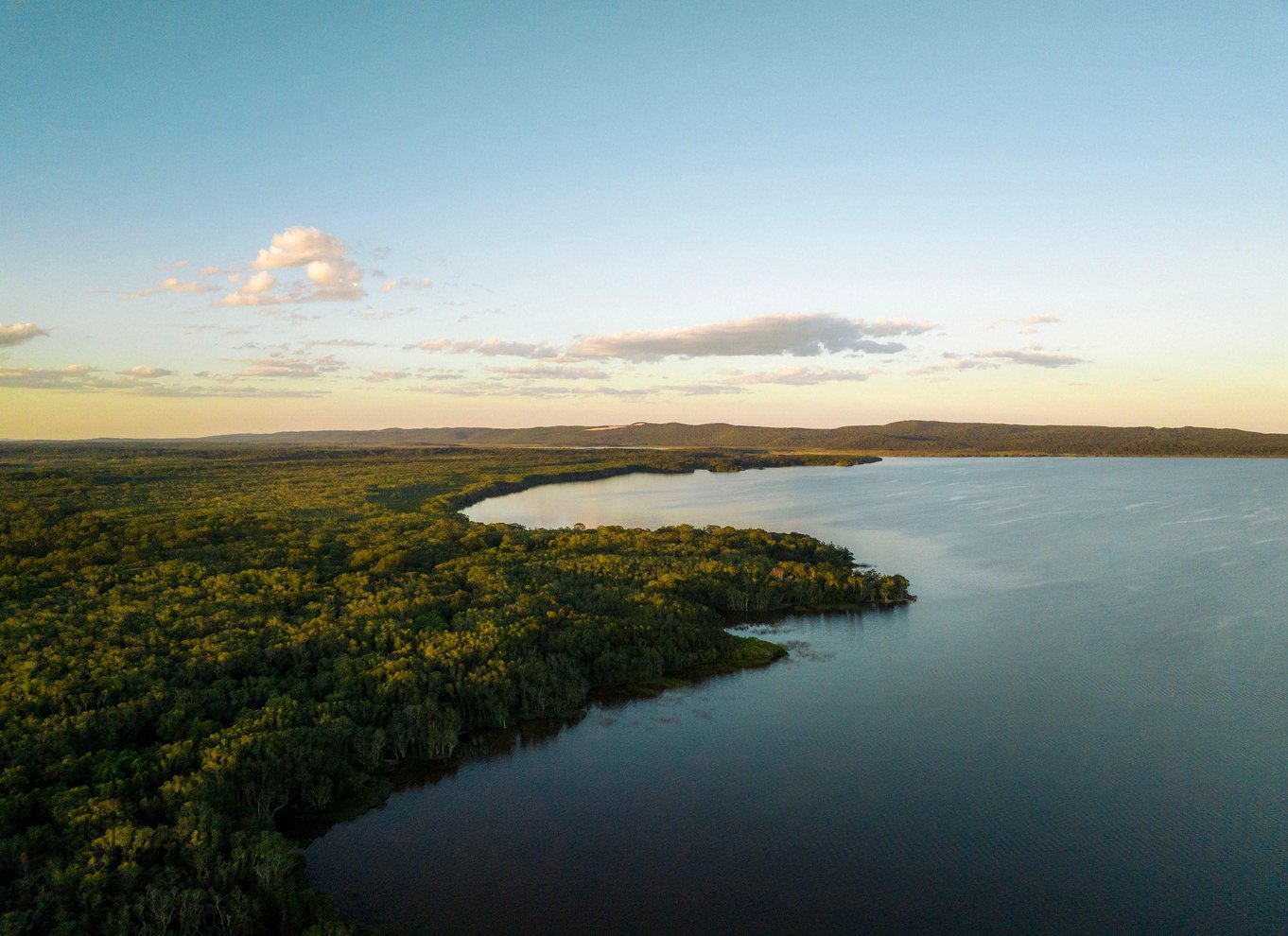 Noosa: Eftermiddagskrydstogt gennem Noosa Everglades