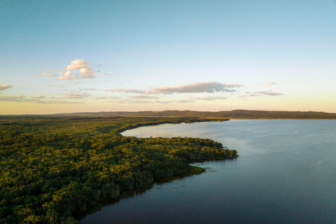 Noosa: Afternoon Cruise through the Noosa Everglades Tour from Meeting Point