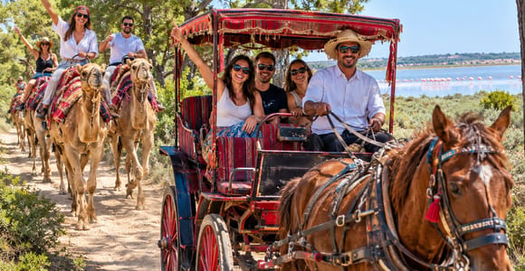 Sousse: Camel Ride Safari , Horse Carriage Experience