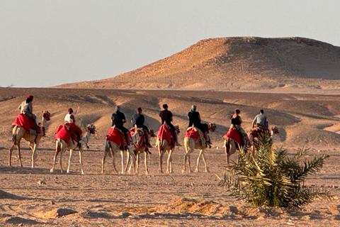 Hurghada: Camel Ride & horse ride and Off-Road Jeep Tour pickup from hotels inside hurghada