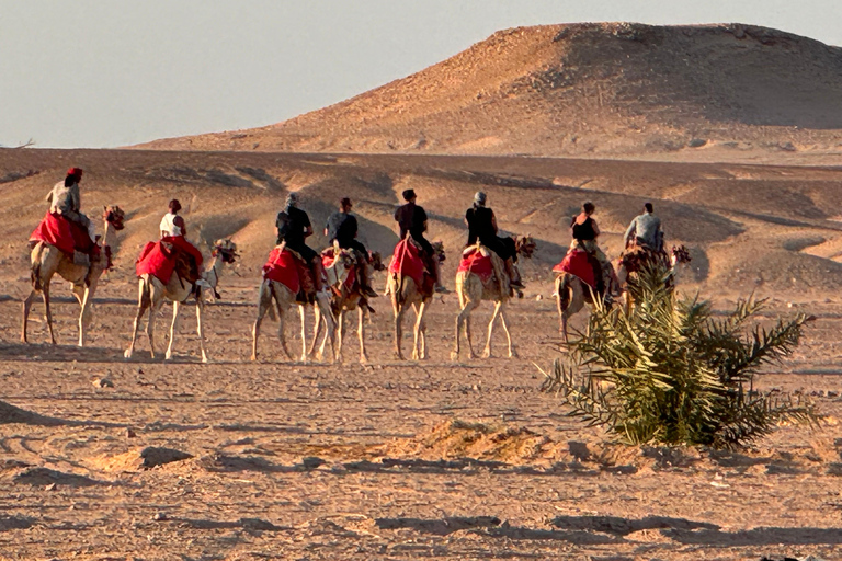 Hurghada: Camel Ride & horse ride and Off-Road Jeep Tour pickup from hotels inside hurghada