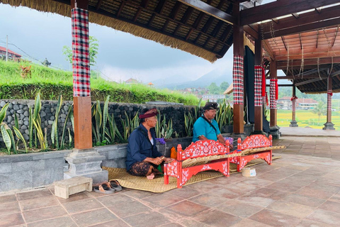 Bali: Private Tour von Jatiluwih, Ulun Danu und Tanah LotTour ohne Eintrittsgelder