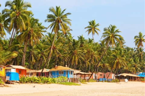 Nieopowiedziane tajemnice Comba (Goa) z lokalną wycieczką pieszą
