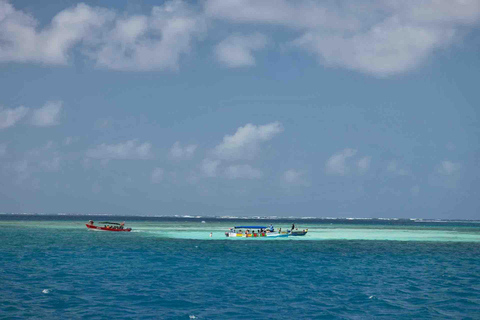 Money Heist San Blas Excursión de un día - 3 islas + Piscina Natural