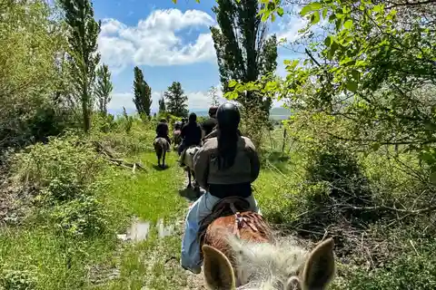 2-hour horse riding tour at Palomino Ranch