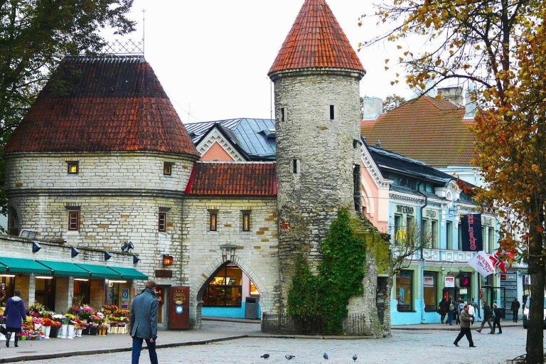 Tallinn: privéwandeltocht