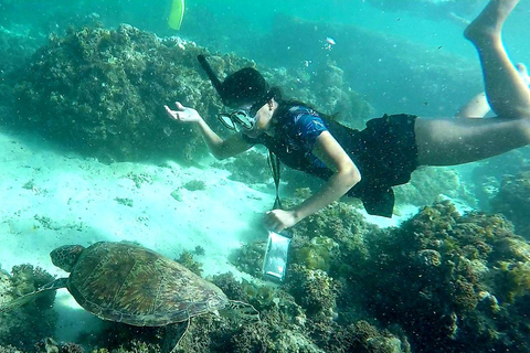 Från Cebu City: Snorklingstur i Moalboal Pescador + lunch