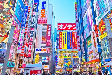 1 jour d'excursion touristique en charter privé à Tokyo