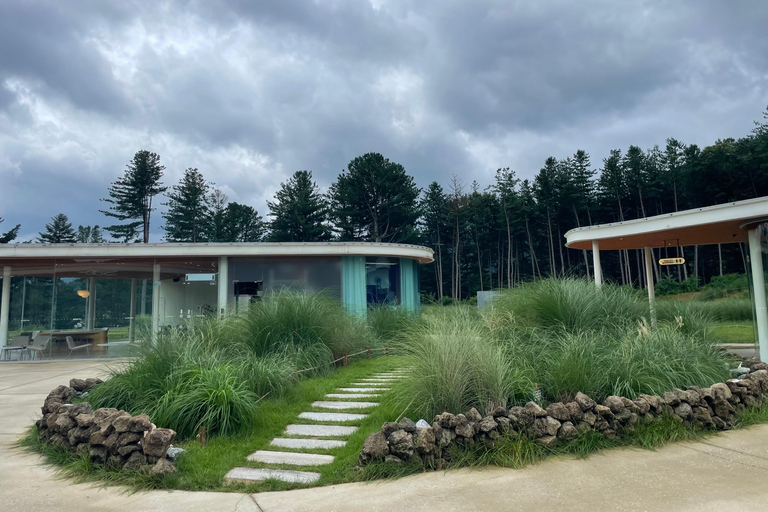 Gyeonggi: Alpaca & Sheep Ranch Admission Ticket in Gapyeong