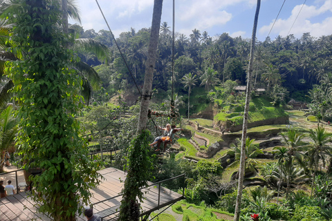 Ubud: Foresta di scimmie, terrazze di riso e cascateUbud: Foresta di scimmie, terrazza di riso e cascata